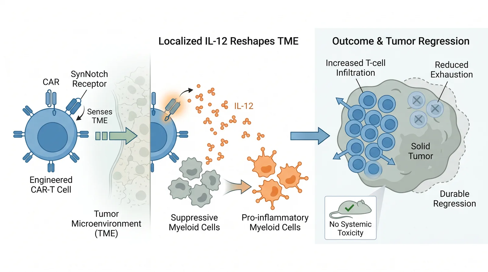 CAR-T cancer immunotherapy graphical abstract made with Graphab
